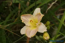 comp_DSC08023.webp