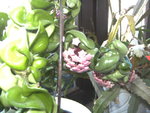 BILD1285.JPG