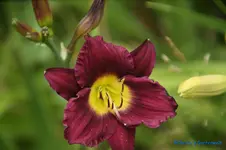 comp_DSC08026.webp