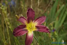 comp_DSC08027.webp