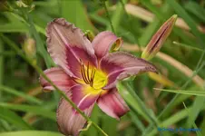 comp_DSC08028.webp