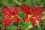 comp_DSC08030.jpg