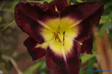 comp_DSC08031.webp