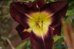 comp_DSC08031.jpg
