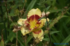 comp_DSC08032.webp