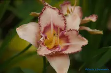comp_DSC08033.webp