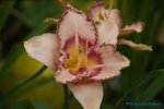 comp_DSC08033.jpg