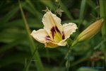 comp_DSC08035.jpg