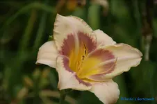 comp_DSC08036.webp