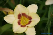 comp_DSC08037.webp