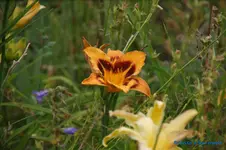 comp_DSC08038.webp