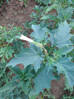 IMG_20190707_195852.webp