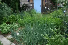 Juli  0119.webp