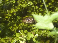 BILD1316.webp