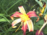 BILD1312.JPG