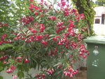BILD1276.JPG