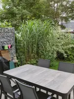 IMG_20190708_180112.webp