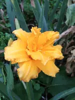 20190708_184851_HDR.webp