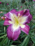 20190708_184846.jpg