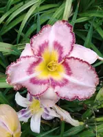 20190708_184839.webp