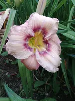 20190708_184834_HDR.webp