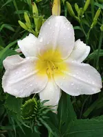 20190708_184819_HDR.webp