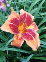 20190708_184806.webp