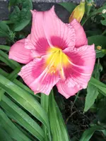 20190708_184747.webp
