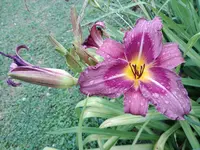 20190708_184701.jpg