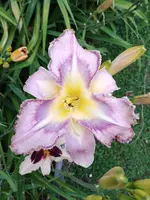 20190708_184711.webp