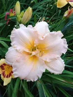 20190708_184735_HDR.webp