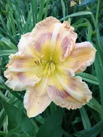 20190708_184647.webp
