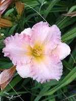 20190708_184641_HDR.webp