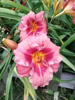 20190708_184635.webp