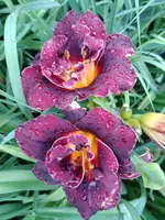 20190708_184626.webp
