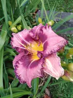 20190708_184600.webp