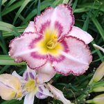 20190708_184123.jpg
