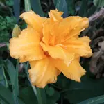 20190708_184058_HDR.webp