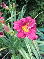 20190708_184513.webp