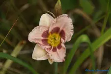 comp_DSC08048.webp