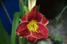 comp_DSC08054.webp
