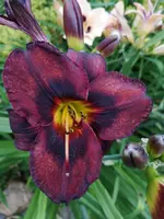 IMG_20190708_182610.webp