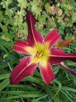 IMG_20190708_182618.webp