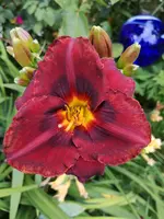 IMG_20190708_182716.webp