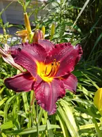 20190706_121504_HDR.webp