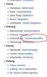 Trockennasenaffen.webp