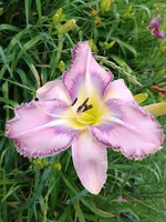 20190709_071657.webp