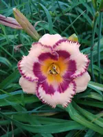 20190709_071641.webp
