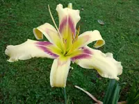 20190709_071609_HDR.webp