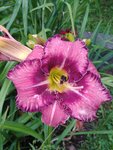 20190709_071554.jpg